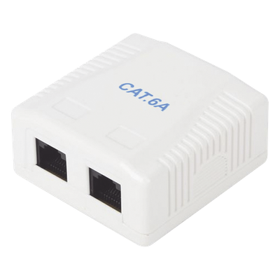 LINKEDPRO BY EPCOM LP-WP-39-C6A - Caja de Pared / 2 Puertos RJ45 / Cat6A UTP / T568A-B / ABS Retardante de Llama | SIERRA STORE