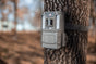 Bushnell Prime Low Glow Trail Camera