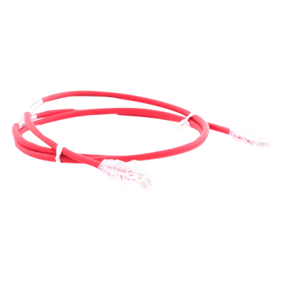 PANDUIT UTP28SP2RD - Cable de Parcheo Cat6 / UTP 28AWG Diámetro Reducido / 0.61m (2 Pies) / Rojo / LSZH-CM / PoE++ | SIERRA STORE