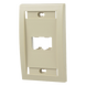 PANDUIT CFPE2EIY - Placa de Pared Vertical / 2 Puertos Mini-Com / Espacios para Etiquetas / Perfil Elevado / Marfil | SIERRA STORE