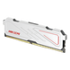 HIKSEMI by HIKVISION HS-C408-U32E2/8G - Memoria RAM DDR4 / 8 GB / 3200 MHz / CL19 / Intel XMP 2.0 / Perfil Bajo 31.25 mm (1.23 in) / | SIERRA STORE