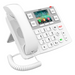 Teléfono IP / Pantalla 3.5 Pulgadas / Wi-Fi Dual Band / Botones Braille / Bluetooth 4.2 / PoE / 2 Líneas SIP | SIERRA STORE