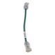 PANDUIT UTP28SP8INGR - Cable de Parcheo Cat6 UTP / 28AWG Diámetro Reducido / 3.8 mm / 20.2 cm (0.66 ft) / Verde / LSZH-CM | SIERRA STORE