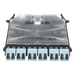 PANDUIT FHSXN-12-10N - Cassette de Fibra Óptica / 6 Puertos LC Duplex / 12 Fibras OM3 / Alta Densidad / Color Azul | SIERRA STORE