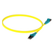 PANDUIT F92ERQ1Q1SNM003 - Jumper de Fibra Óptica / Monomodo OS2 9/125 µm / LC-LC Dúplex Push-Pull / OFNR Riser / 3 m (9.84 ft) / | SIERRA STORE