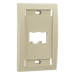 PANDUIT CFPE2EIY - Placa de Pared Vertical / 2 Puertos Mini-Com / Espacios para Etiquetas / Perfil Elevado / Marfil | SIERRA STORE
