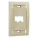 PANDUIT CFPE2EIY - Placa de Pared Vertical / 2 Puertos Mini-Com / Espacios para Etiquetas / Perfil Elevado / Marfil | SIERRA STORE