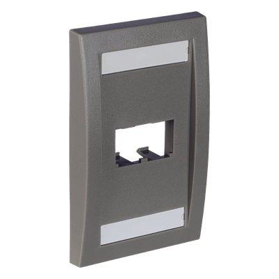 PANDUIT CFPE2IGY - Placa de Pared Vertical / 2 Puertos Mini-Com / Espacios para Etiquetas / 2.75 x 4.5 in / Gris | SIERRA STORE