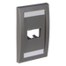 PANDUIT CFPE2IGY - Placa de Pared Vertical / 2 Puertos Mini-Com / Espacios para Etiquetas / 2.75 x 4.5 in / Gris | SIERRA STORE