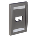 PANDUIT CFPE2IGY - Placa de Pared Vertical / 2 Puertos Mini-Com / Espacios para Etiquetas / 2.75 x 4.5 in / Gris | SIERRA STORE