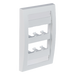 PANDUIT CFPE6WHY - Placa de Pared Vertical Ejecutiva / 6 Puertos Mini-Com / Perfil Elevado / 69.8 x 114.3 mm (2.75 x 4.5 pulg.) / | SIERRA STORE