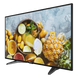 HIKVISION DS-D5043QE - Monitor LED Full HD de 43" / Ideal para Oficina y Hogar / Uso 24-7 / Entrada HDMI-VGA / Compatible con Montaje | SIERRA STORE