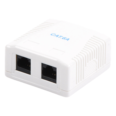 LINKEDPRO BY EPCOM LP-WP-39-C6A - Caja de Pared / 2 Puertos RJ45 / Cat6A UTP / T568A-B / ABS Retardante de Llama | SIERRA STORE