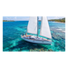 Radio Móvil Marino VHF / 25W / DSC Clase D con GPS / IPX4 / Pantalla LCD / Triple Watch | SIERRA STORE