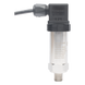 Transmisor de Presión Industrial / 4-20 mA / Rango 0 a 16 bar (232 psi) / Precisión 1% / Conexión NPT 1/4-18 / IP65 | SIERRA STORE