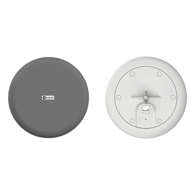 Altavoz Colgante / 6.5" / PoE++-PoE+-PoE / Dante Audio Networking / DSP Integrado / 100-105 dB SPL / UL2043 Plenum / Suspensión 45 kg | SIERRA STORE