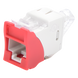 SIEMON U5-H03NS - Jack / Cat5e UTP / Montaje Híbrido Plano o Angulado / Color Rojo / Punch Down 110 / -10 a 60°C | SIERRA STORE
