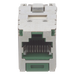 PANDUIT CJS6X88TGGRY - Jack RJ45 Blindado / Cat 6A / Estilo TG Sin Impacto / PoE 100W / Verde | SIERRA STORE