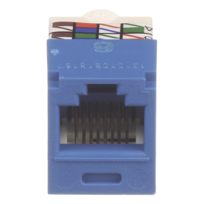 PANDUIT CJ688TPBU - Conector Jack RJ45 Estilo TP, Mini-Com, Categoría 6, de 8 posiciones y 8 cables, Color Azul | SIERRA STORE