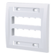 PANDUIT CFPE10WH-2GY - Placa de Pared Vertical / 10 Puertos Mini-Com / ABS / 4.5 x 4.5 pulg. / Blanco | SIERRA STORE