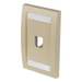 PANDUIT CFPE1EIY - Placa de Pared Vertical Ejecutiva / 1 Puerto Mini-Com / Con Espacio para Etiquetas / 69.8 x 114.3 mm (2.75 x 4.5 | SIERRA STORE