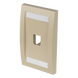 PANDUIT CFPE1EIY - Placa de Pared Vertical Ejecutiva / 1 Puerto Mini-Com / Con Espacio para Etiquetas / 69.8 x 114.3 mm (2.75 x 4.5 | SIERRA STORE
