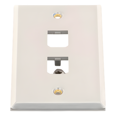 PANDUIT CFP2SY - Placa de Pared Vertical / Acero Inoxidable Grado 304 / 2 Puertos Mini-Com / 2.75 x 4.5 pulgadas | SIERRA STORE