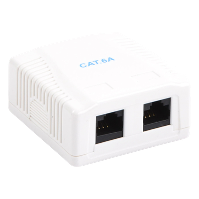 LINKEDPRO BY EPCOM LP-WP-39-C6A - Caja de Pared / 2 Puertos RJ45 / Cat6A UTP / T568A-B / ABS Retardante de Llama | SIERRA STORE