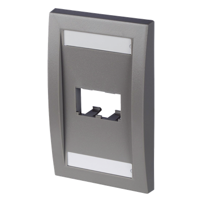 PANDUIT CFPE2IGY - Placa de Pared Vertical / 2 Puertos Mini-Com / Espacios para Etiquetas / 2.75 x 4.5 in / Gris | SIERRA STORE