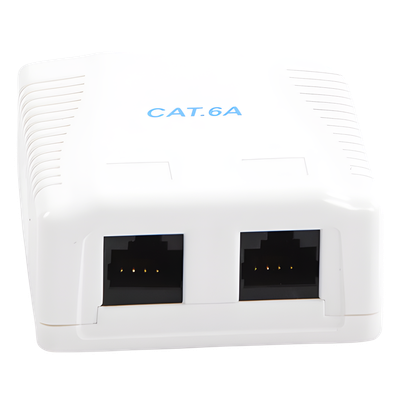 LINKEDPRO BY EPCOM LP-WP-39-C6A - Caja de Pared / 2 Puertos RJ45 / Cat6A UTP / T568A-B / ABS Retardante de Llama | SIERRA STORE