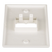 PANDUIT CFP2IW - Placa de Pared Vertical / 2 Puertos Mini-Com / 69.8 x 114.3 mm / 2.75 x 4.5 pulg. / Blanco Mate / ABS | SIERRA STORE
