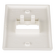 PANDUIT CFP2IW - Placa de Pared Vertical / 2 Puertos Mini-Com / 69.8 x 114.3 mm / 2.75 x 4.5 pulg. / Blanco Mate / ABS | SIERRA STORE