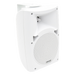 Bocina de Montaje en Pared / 60W 100V / 30W 70V / IP65 / 92 dB | SIERRA STORE