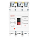 Protector Térmico Trifásico / 50 A / 690 V CA / Capacidad de Ruptura 125 A / Conductores 50 mm / -5°C a +40°C | SIERRA STORE