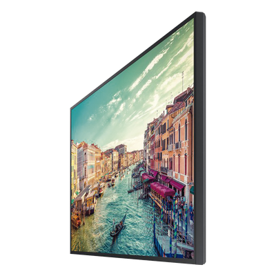 Pantalla Profesional LED de 43", UHD 4K (3840x2160p), Entradas de Video HDMI/DisplayPort/HDCP, Bocinas Integradas de 10 W. Compatible | SIERRA STORE