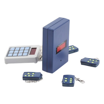 ACCESSPRO ACCESSPRO300 - Receptor Inalámbrico Universal / 12/24 VCC/VCA / 1600 Usuarios / 30 m (98 ft) Alcance / 2 Relevadores | SIERRA STORE