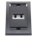 PANDUIT CFPE2BLY - Placa de Pared Vertical / 2 Puertos Mini-Com / Con Espacio para Etiquetas / 2.75 x 4.5 pulgadas / Negro | SIERRA STORE