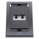 PANDUIT CFPE2BLY - Placa de Pared Vertical / 2 Puertos Mini-Com / Con Espacio para Etiquetas / 2.75 x 4.5 pulgadas / Negro | SIERRA STORE