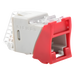 SIEMON U6A-H03NS - Jack RJ45 Cat6a / UTP / Montaje Híbrido Plano-Angulado / Terminación 110 / Color Rojo | SIERRA STORE