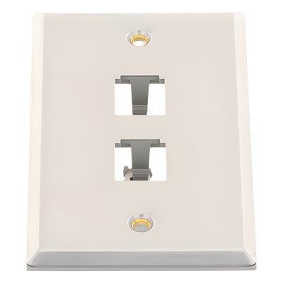PANDUIT CFP2SY - Placa de Pared Vertical / Acero Inoxidable Grado 304 / 2 Puertos Mini-Com / 2.75 x 4.5 pulgadas | SIERRA STORE